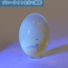 画像4: 【一点物】天然琥珀 天然カリビアンアンバー ルース【虫入り】 カラブ海周辺産 ゴールド 長寿 太陽 天然石 パワーストーン カラーストーン (4)