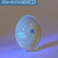 画像4: 【一点物】天然琥珀 天然カリビアンアンバー ルース【虫入り】 カリブ海周辺産 ゴールド 長寿 太陽 天然石 パワーストーン カラーストーン (4)