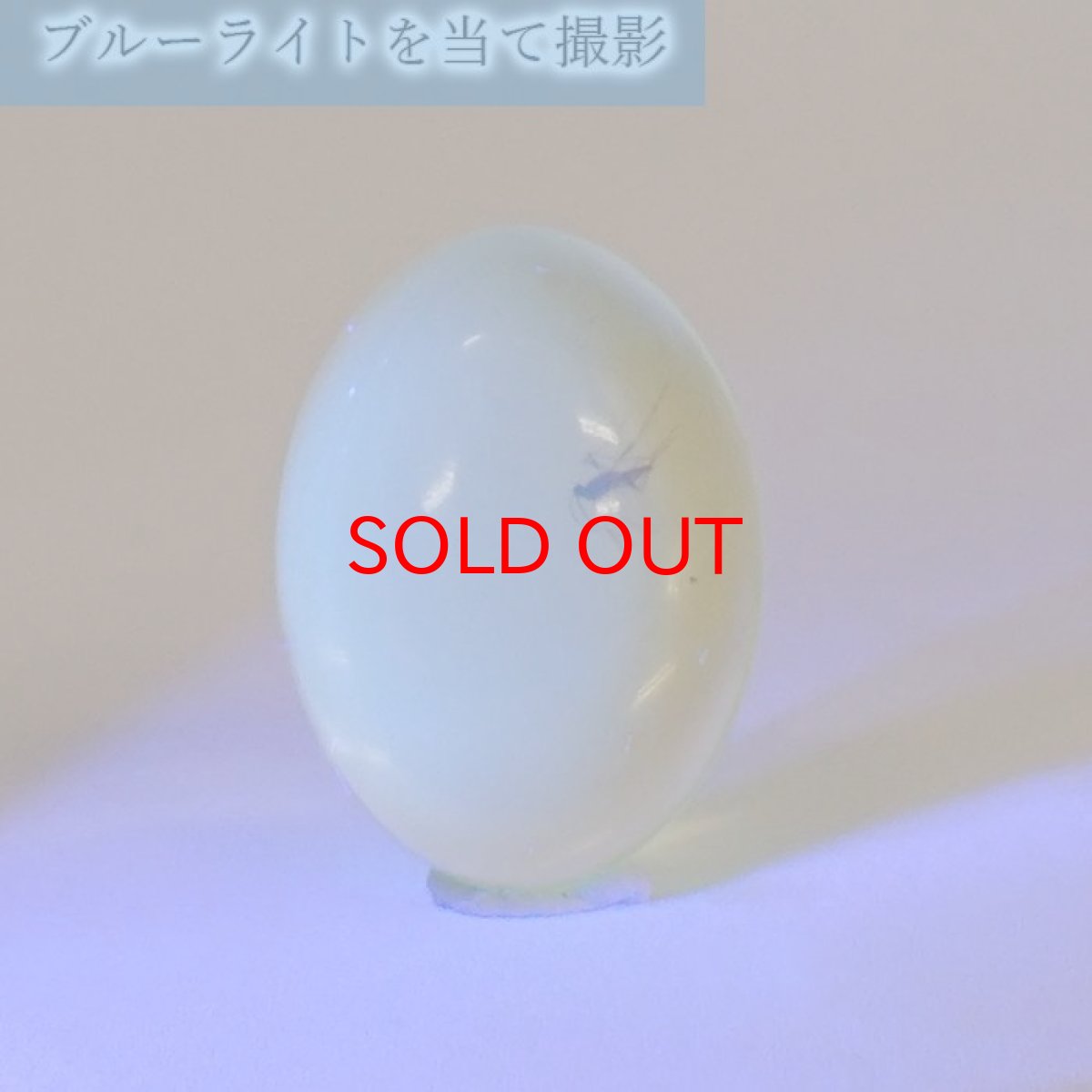 画像4: 【一点物】天然琥珀 天然カリビアンアンバー ルース【虫入り】 カリブ海周辺産 ゴールド 長寿 太陽 天然石 パワーストーン カラーストーン (4)