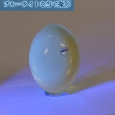 画像4: 【一点物】天然琥珀 天然カリビアンアンバー ルース【虫入り】 カリブ海周辺産 ゴールド 長寿 太陽 天然石 パワーストーン カラーストーン (4)