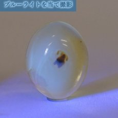 画像3: 【一点物】天然琥珀 天然カリビアンアンバー ルース【虫入り】 カリブ海周辺産 ゴールド 長寿 太陽 天然石 パワーストーン カラーストーン (3)