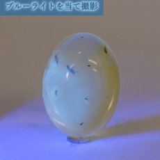 画像6: 【一点物】天然琥珀 天然カリビアンアンバー ルース【虫入り】 カリブ海周辺産 ゴールド 長寿 太陽 天然石 パワーストーン カラーストーン (6)