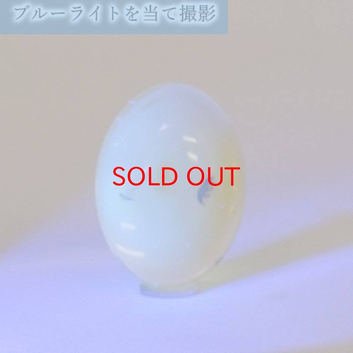 画像5: 【一点物】天然琥珀 天然カリビアンアンバー ルース【虫入り】 カリブ海周辺産 ゴールド 長寿 太陽 天然石 パワーストーン カラーストーン (5)