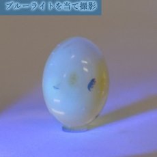 画像5: 【一点物】天然琥珀 天然カリビアンアンバー ルース【虫入り】 カリブ海周辺産 ゴールド 長寿 太陽 天然石 パワーストーン カラーストーン (5)