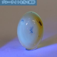 画像4: 【一点物】天然琥珀 天然カリビアンアンバー ルース【虫入り】 カリブ海周辺産 ゴールド 長寿 太陽 天然石 パワーストーン カラーストーン (4)