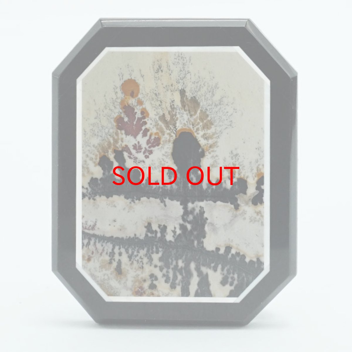 画像2: ピクチャーストーン ルース オニキス デンドリチック デンドライト 【 一点もの 】 中国産 希少石 レア 絵 風景  お守り 天然石 パワーストーン カラーストーン (2)