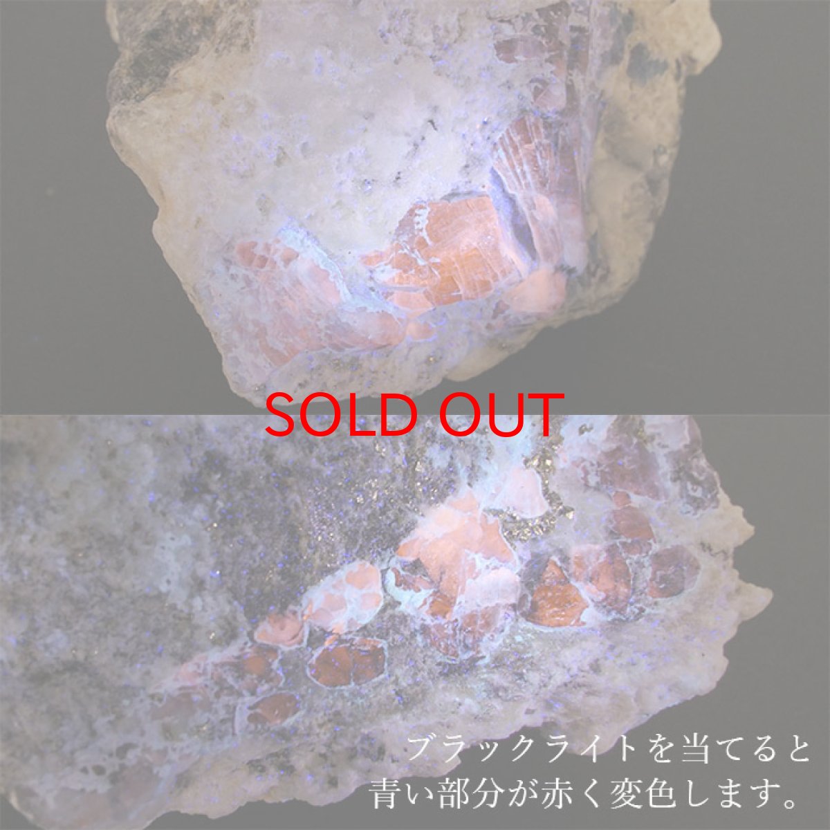 画像3: 【一点物】 アフガナイト 原石 アフガニスタン産 188.7g 蛍光 Afghanite 天然石 パワーストーン カラーストーン (3)