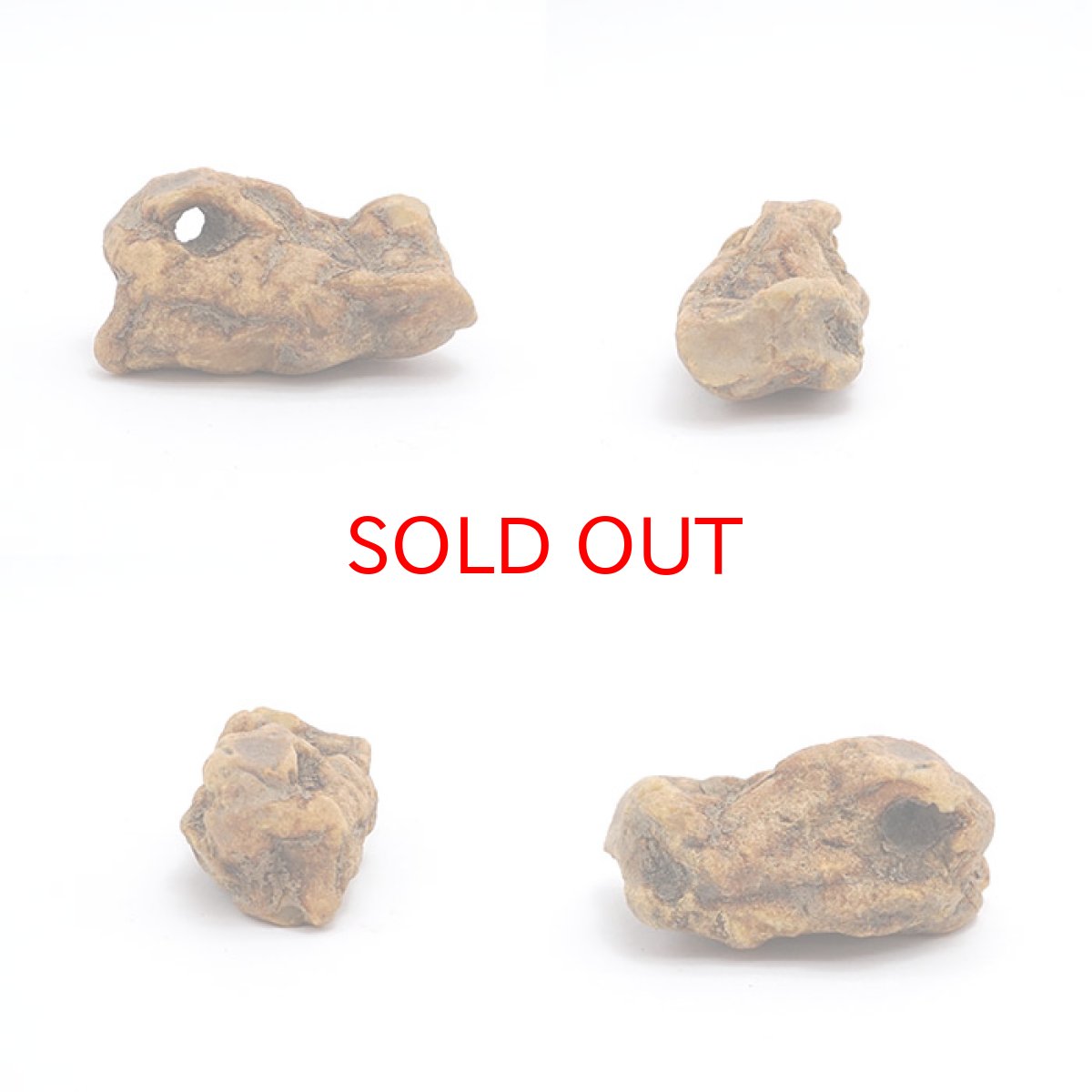 画像2: 【一点物】天然琥珀 天然カリビアンアンバー 原石 カリブ海周辺産 ゴールド 植物の化石 樹脂の化石  長寿 太陽 天然石 パワーストーン カラーストーン (2)