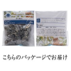 画像4: さざれ 100g 美ら海石 天然石 パワーストーン 日本銘石 沖縄県 堆積岩  珊瑚 火石 穴無し  カラーストーン (4)