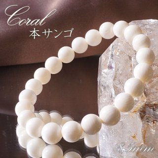 白珊瑚 しろさんご サンゴ ブレスレット 小玉 ナチュラル