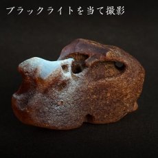 画像4: 【一点物】天然琥珀 天然カリビアンアンバー 原石 カリブ海周辺産 ゴールド 植物の化石 樹脂の化石  長寿 太陽 天然石 パワーストーン カラーストーン (4)