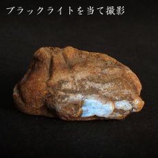 画像4: 【一点物】天然琥珀 天然カリビアンアンバー 原石 カリブ海周辺産 ゴールド 植物の化石 樹脂の化石  長寿 太陽 天然石 パワーストーン カラーストーン (4)