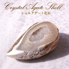 画像1: シェルアゲート インド産  化石 置物 【 一点物 】 agate  貝 シェル 希少 コレクション 瑪瑙 めのう ジオード 金運 財運 浄化 置き物 浄化 飾り お守り 天然石 パワーストーン カラーストーン (1)