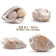 画像5: シェルアゲート インド産  化石 置物 【 一点物 】 agate  貝 シェル 希少 コレクション 瑪瑙 めのう ジオード 金運 財運 浄化 置き物 浄化 飾り お守り 天然石 パワーストーン カラーストーン (5)