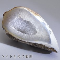 画像4: シェルアゲート インド産  化石 置物 【 一点物 】 agate  貝 シェル 希少 コレクション 瑪瑙 めのう ジオード 金運 財運 浄化 置き物 浄化 飾り お守り 天然石 パワーストーン カラーストーン (4)