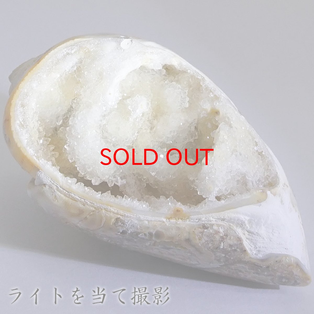 画像4: シェルアゲート インド産  化石 置物 【 一点物 】 agate  貝 シェル 希少 コレクション 瑪瑙 めのう ジオード 金運 財運 浄化 置き物 浄化 飾り お守り 天然石 パワーストーン カラーストーン (4)