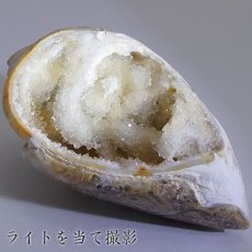 画像4: シェルアゲート インド産  化石 置物 【 一点物 】 agate  貝 シェル 希少 コレクション 瑪瑙 めのう ジオード 金運 財運 浄化 置き物 浄化 飾り お守り 天然石 パワーストーン カラーストーン (4)