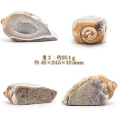 画像2: シェルアゲート インド産  化石 置物 【 一点物 】 agate  貝 シェル 希少 コレクション 瑪瑙 めのう ジオード 金運 財運 浄化 置き物 浄化 飾り お守り 天然石 パワーストーン カラーストーン (2)