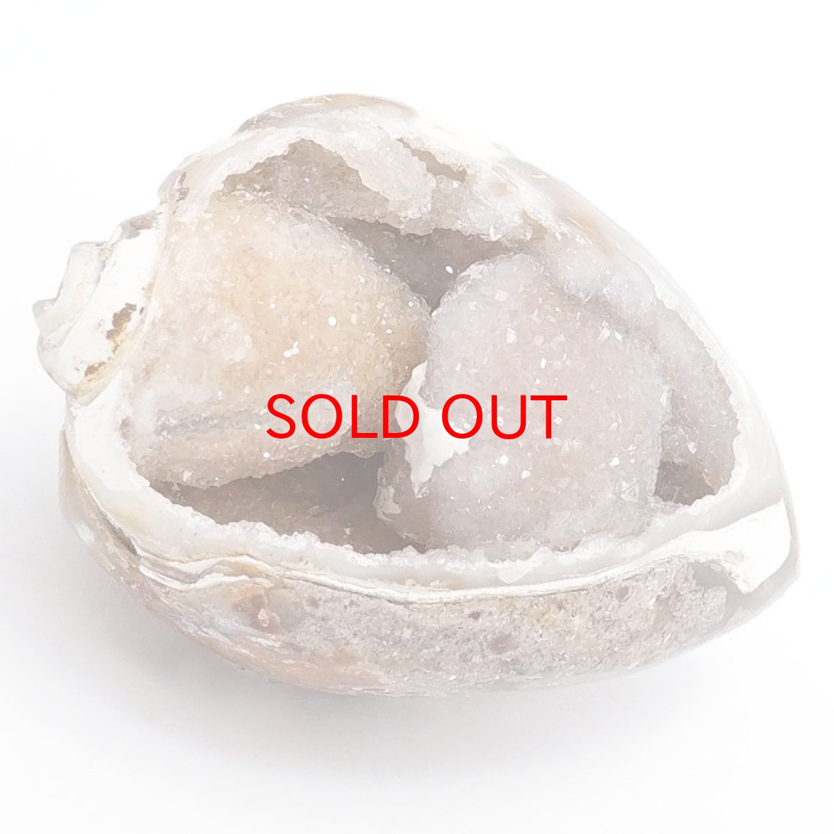 画像6: シェルアゲート インド産  化石 置物 【 一点物 】 agate  貝 シェル 希少 コレクション 瑪瑙 めのう ジオード 金運 財運 浄化 置き物 浄化 飾り お守り 天然石 パワーストーン カラーストーン (6)