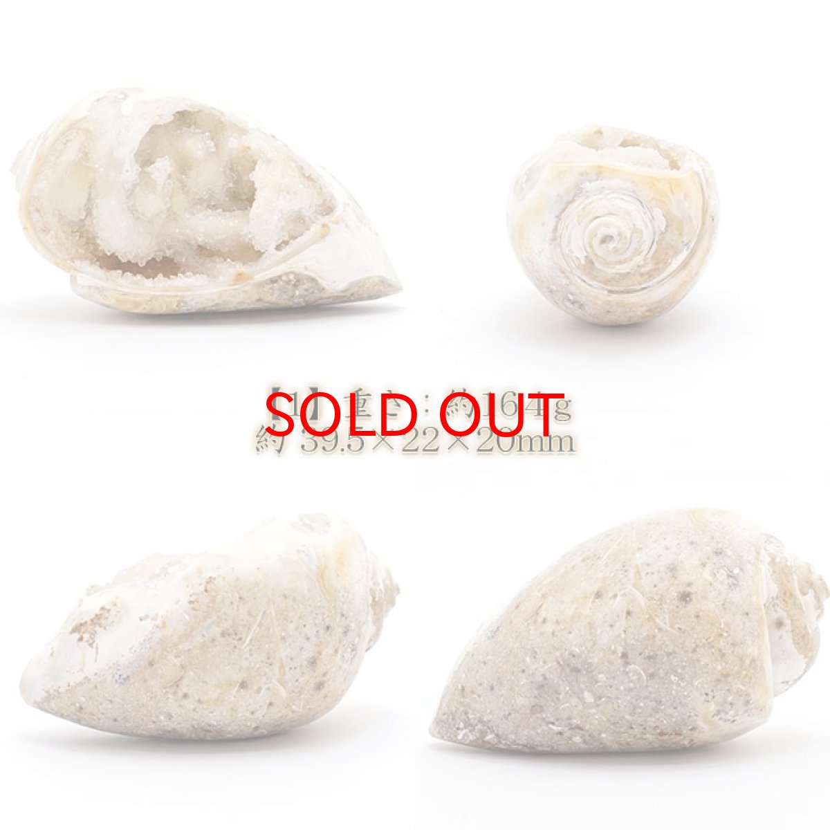 画像2: シェルアゲート インド産  化石 置物 【 一点物 】 agate  貝 シェル 希少 コレクション 瑪瑙 めのう ジオード 金運 財運 浄化 置き物 浄化 飾り お守り 天然石 パワーストーン カラーストーン (2)