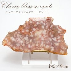 画像1: チェリーブロッサム アゲート プレート  Agate マダガスカル産 【 一点もの 】 天然石プレート 風水 開運アイテム インテリア 金運 財運 置き物 アクセサリー置き 天然石 お守り 浄化 撮影小道具 ディスプレイ 小物 カラーストーン (1)