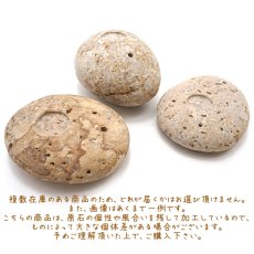 画像4: 薬石のお香立て 【姫川薬石】 中サイズ Mサイズ 日本銘石 日本の石 新潟県 天然石 パワーストーン (4)