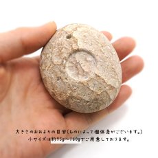 画像3: 薬石のお香立て 【姫川薬石】 小サイズ Sサイズ 日本銘石 日本の石 新潟県 天然石 パワーストーン (3)