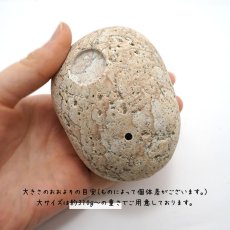 画像3: 薬石のお香立て 【姫川薬石】 大サイズ Lサイズ 日本銘石 日本の石 新潟県 天然石 パワーストーン (3)