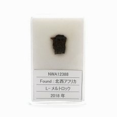 画像5: 【 一点物 】 NWA12388 隕石 アフリカ産 L-メルトロック NWA12388隕石 コンドライト 原石 天然石 パワーストーン カラーストーン (5)