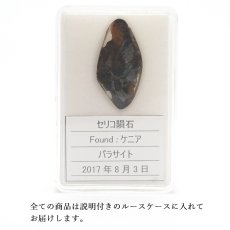 画像10: 【一点物】 セリコ隕石 ケニア産 パラサイト  meteorite Parasite (10)