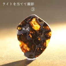 画像7: 【一点物】 セリコ隕石 ケニア産 パラサイト  meteorite Parasite (7)