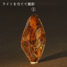 画像3: 【一点物】 セリコ隕石 ケニア産 パラサイト  meteorite Parasite (3)