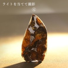 画像9: 【一点物】 セリコ隕石 ケニア産 パラサイト  meteorite Parasite (9)