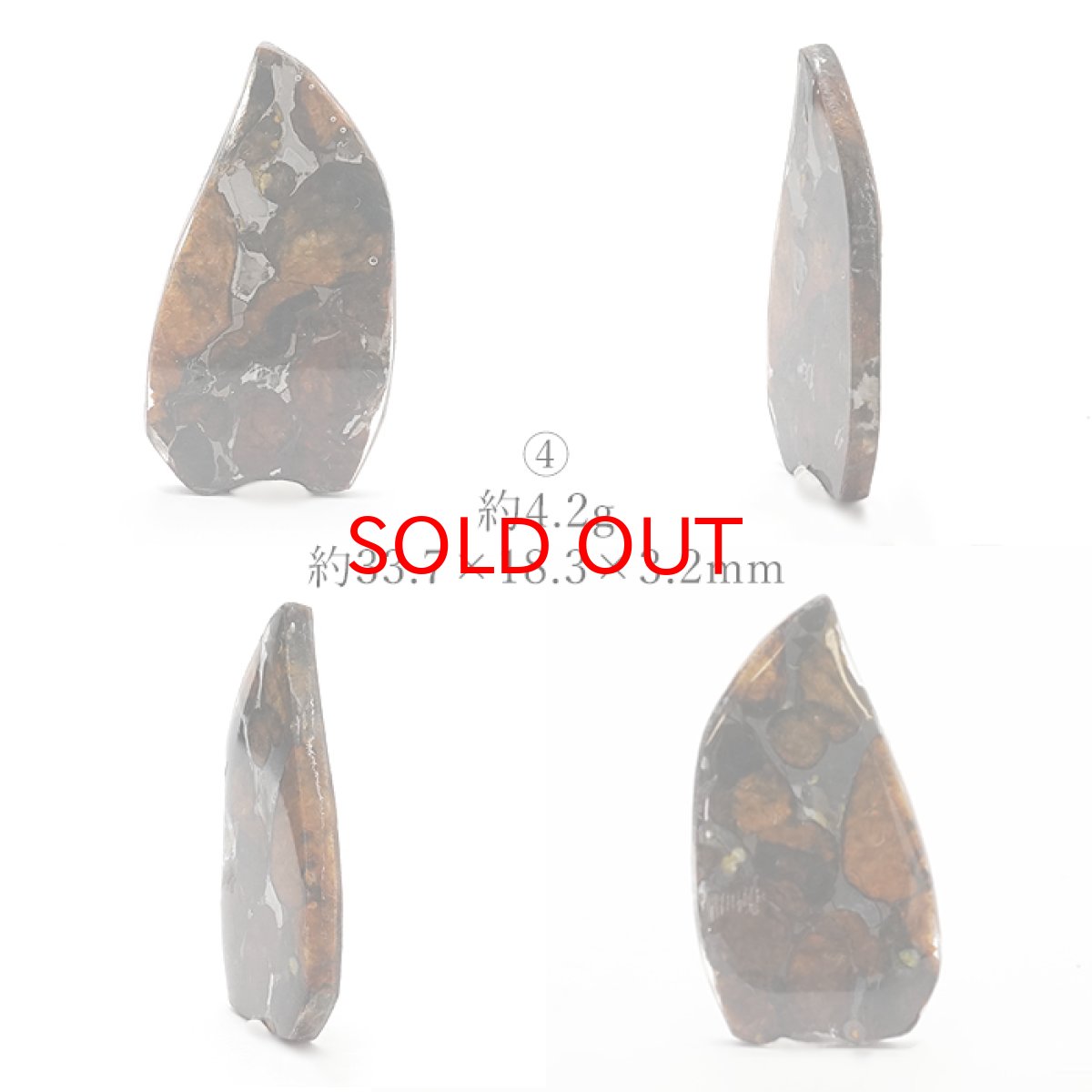 画像8: 【一点物】 セリコ隕石 ケニア産 パラサイト  meteorite Parasite (8)