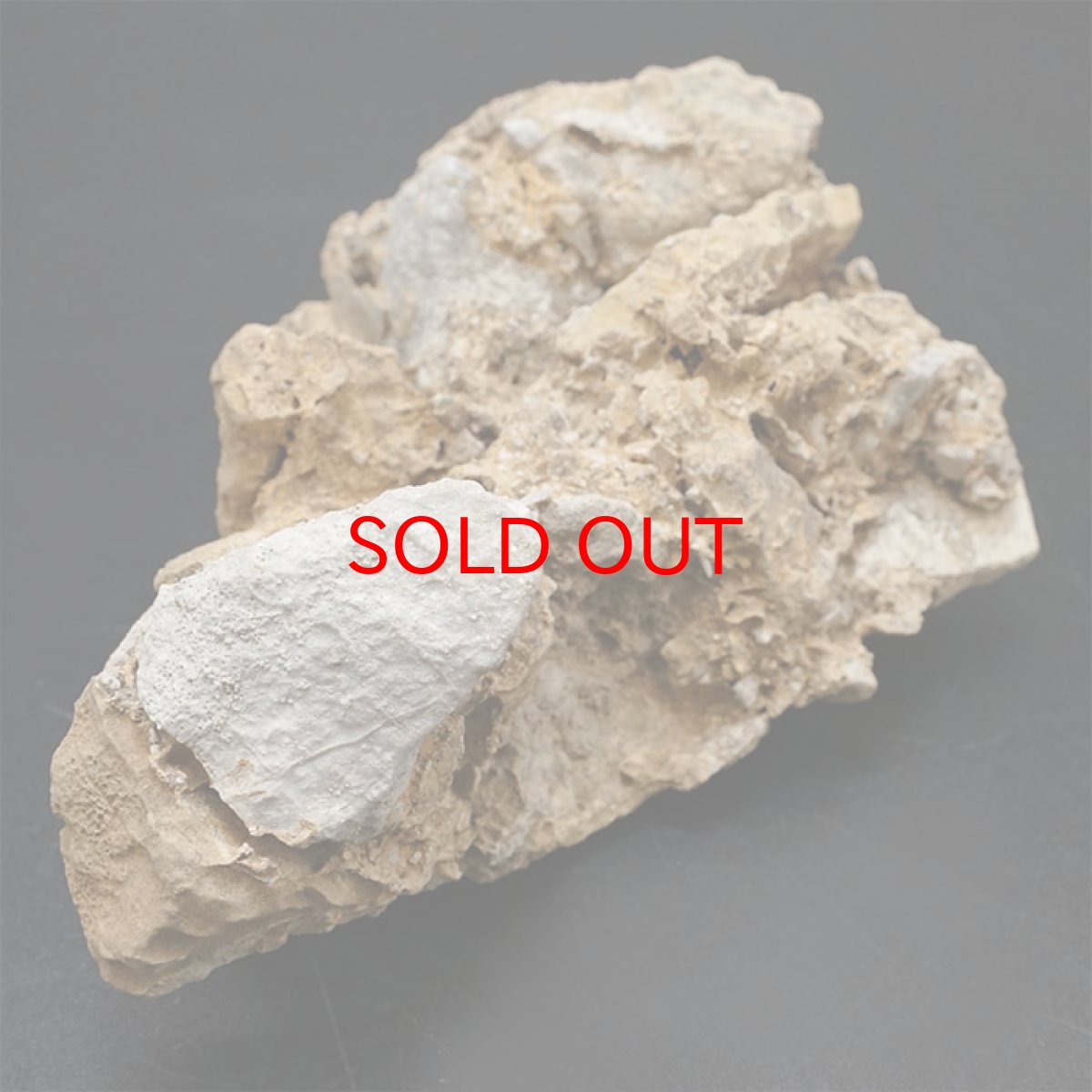 画像3: 【一点物】 国歌さざれ石 原石 岐阜県産 約330.4g national anthem of Japan stone 日本銘石 天然石 パワーストーン カラーストーン (3)