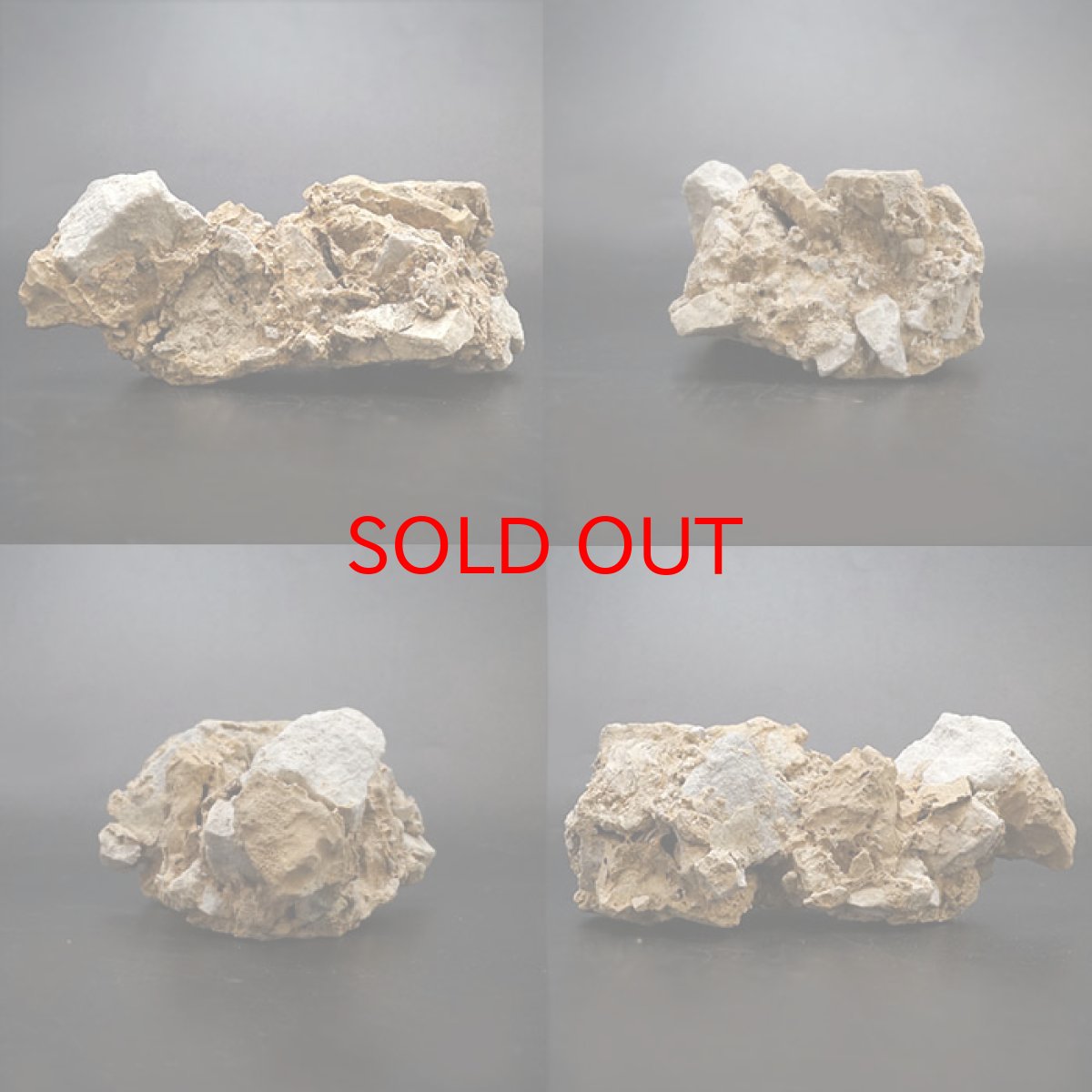 画像2: 【一点物】 国歌さざれ石 原石 岐阜県産 約330.4g national anthem of Japan stone 日本銘石 天然石 パワーストーン カラーストーン (2)