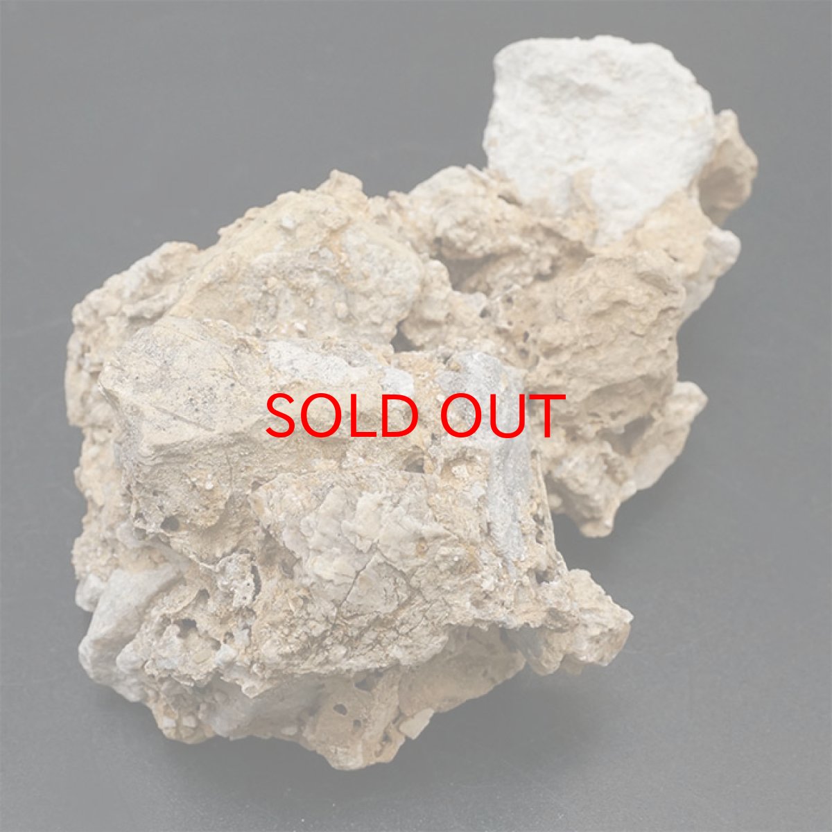 画像4: 【一点物】 国歌さざれ石 原石 岐阜県産 約330.4g national anthem of Japan stone 日本銘石 天然石 パワーストーン カラーストーン (4)