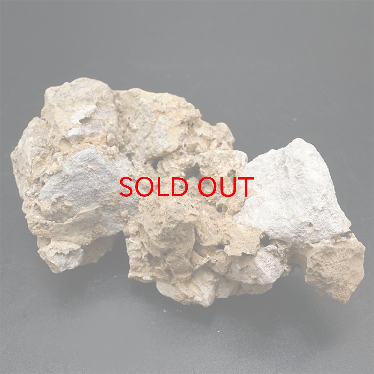 画像5: 【一点物】 国歌さざれ石 原石 岐阜県産 約330.4g national anthem of Japan stone 日本銘石 天然石 パワーストーン カラーストーン (5)