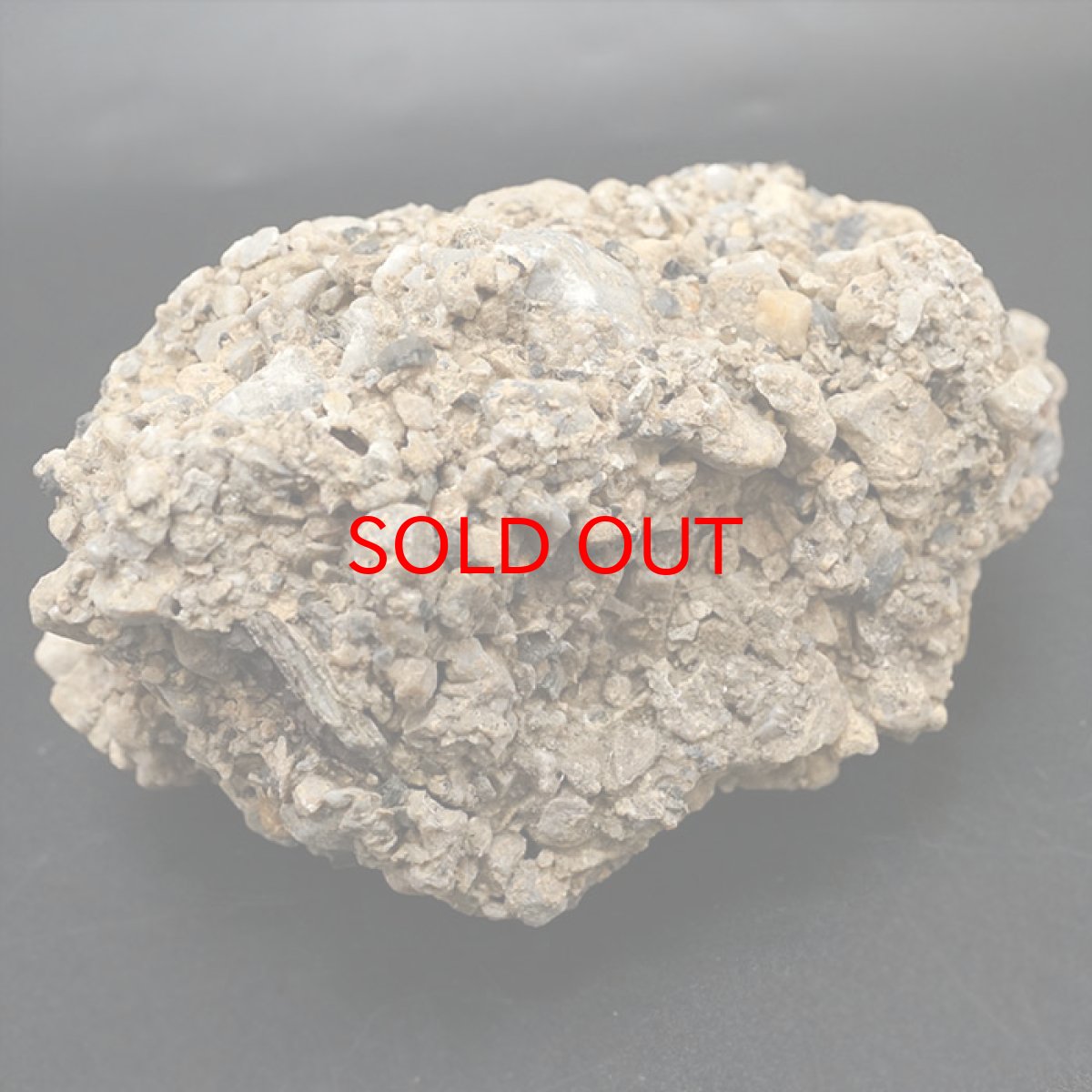 画像4: 【一点物】 国歌さざれ石 原石 岐阜県産 約381.4g national anthem of Japan stone 日本銘石 天然石 パワーストーン カラーストーン (4)