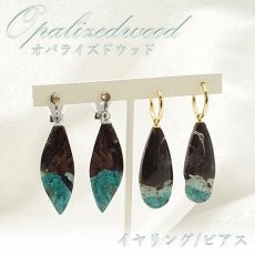 画像1: 【一点もの】 オパライズドウッド ピアス イヤリング インドネシア産 Opalizedwood オパール 調和 ヒーリング お守り 浄化 天然石 パワーストーン カラーストーン (1)