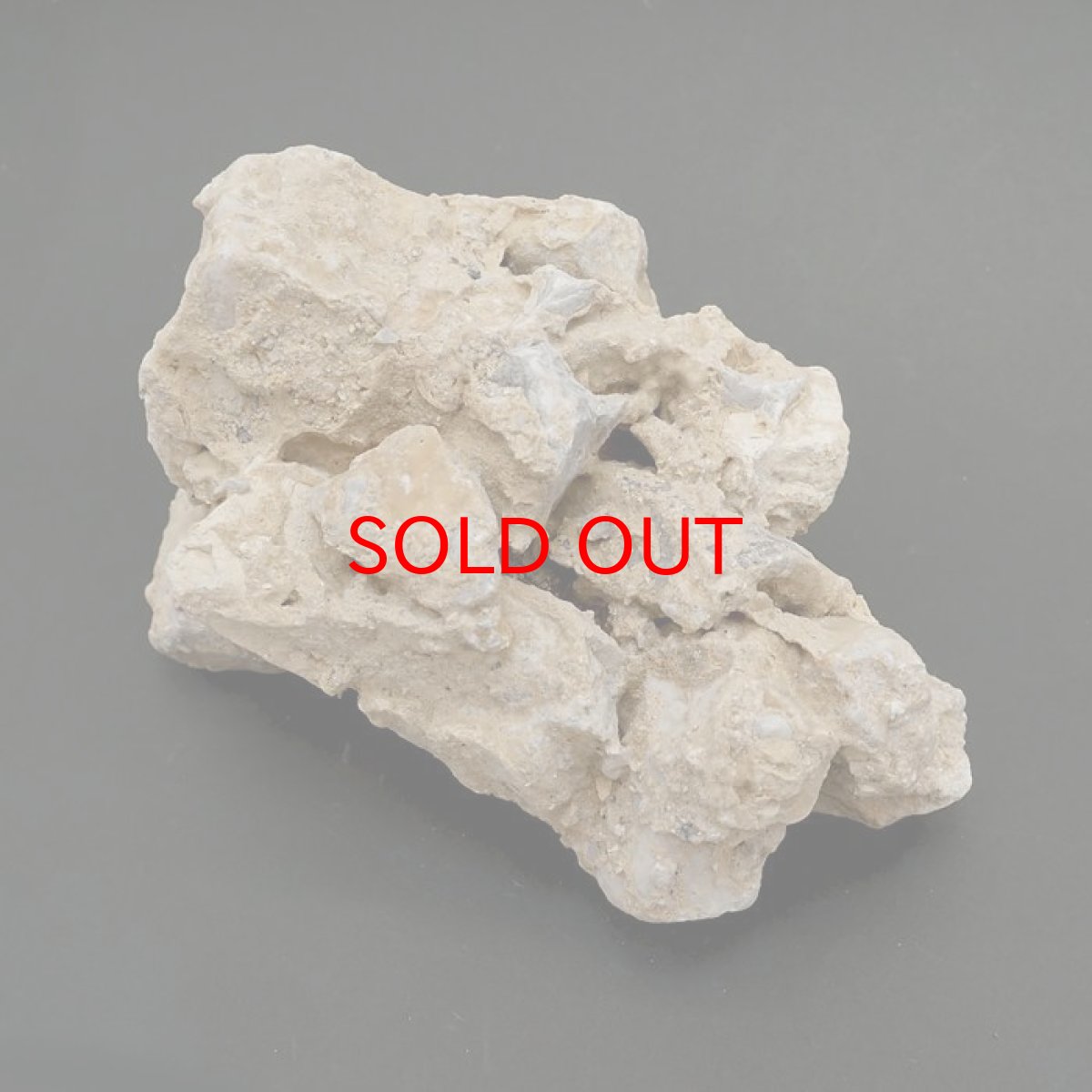 画像3: 【20%OFFセール】 【 一点物 】 国歌さざれ石 原石 岐阜県産 約828g national anthem of Japan stone 日本銘石 天然石 パワーストーン カラーストーン (3)