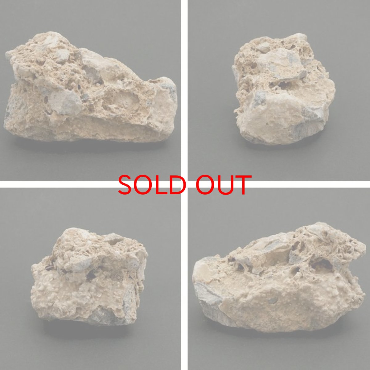 画像2: 【 一点物 】 国歌さざれ石 原石 岐阜県産 約305g national anthem of Japan stone 日本銘石 天然石 パワーストーン カラーストーン (2)