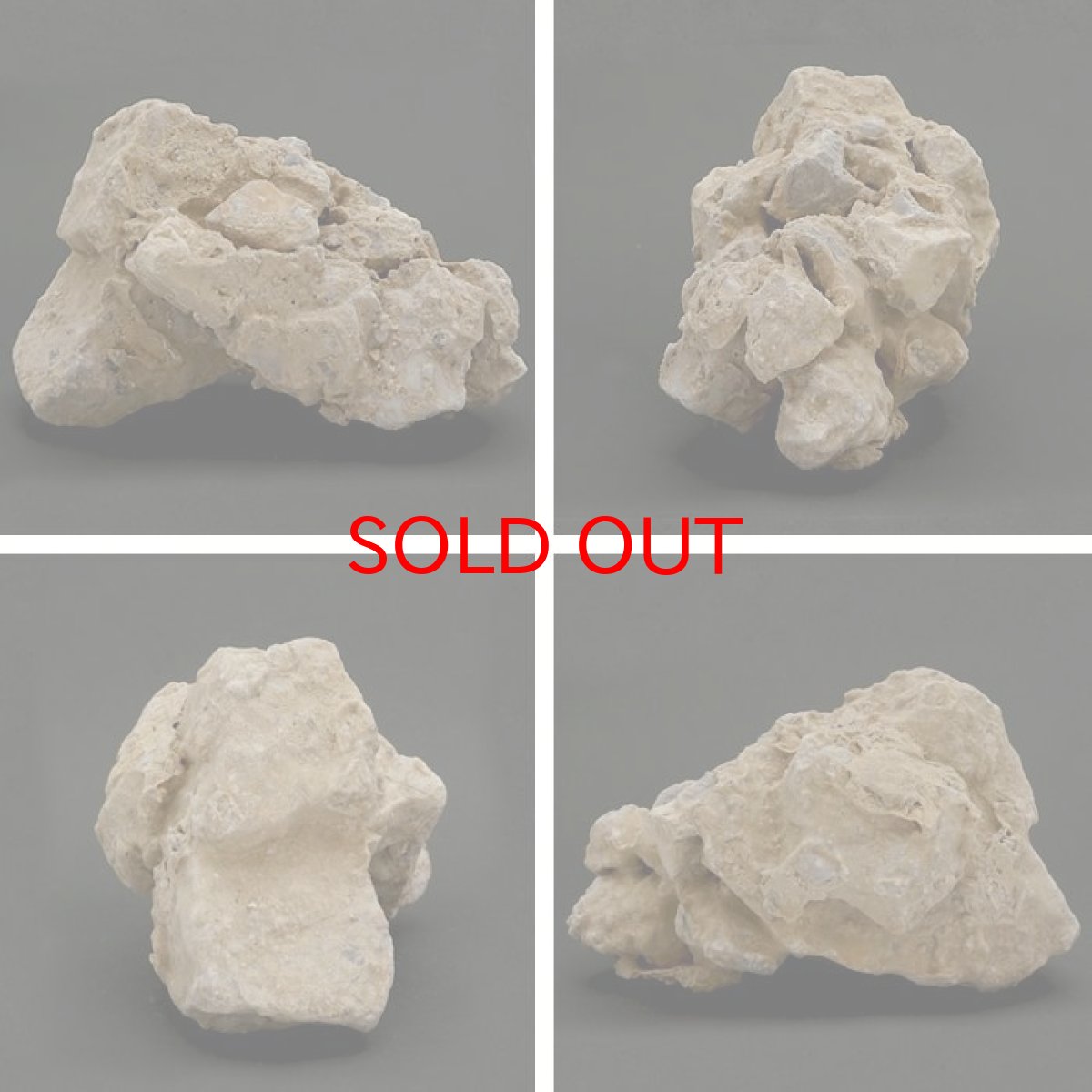 画像2: 【20%OFFセール】 【 一点物 】 国歌さざれ石 原石 岐阜県産 約828g national anthem of Japan stone 日本銘石 天然石 パワーストーン カラーストーン (2)