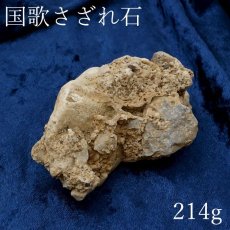 画像1: 【 一点物 】 国歌さざれ石 原石 岐阜県産 約214g national anthem of Japan stone 日本銘石 天然石 パワーストーン カラーストーン (1)