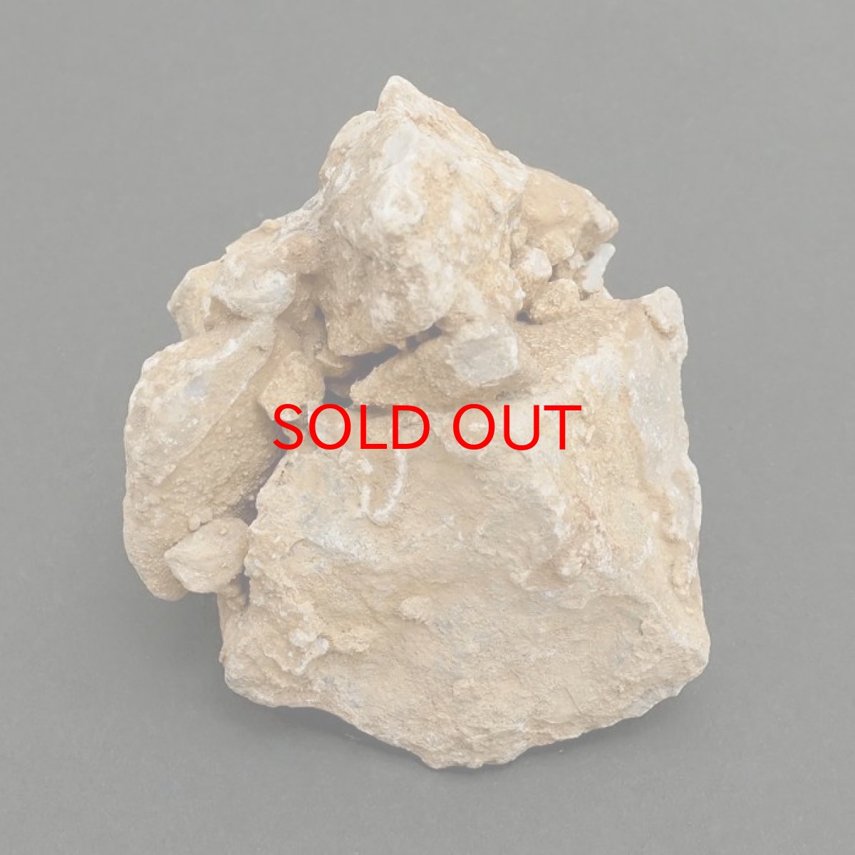 画像3: 【 一点物 】 国歌さざれ石 原石 岐阜県産 約225g national anthem of Japan stone 日本銘石 天然石 パワーストーン カラーストーン (3)