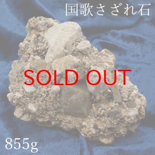国歌さざれ石(岐阜県) - 天然石&中国茶Lin 国歌さざれ石(岐阜県) - 天然石&中国茶Lin