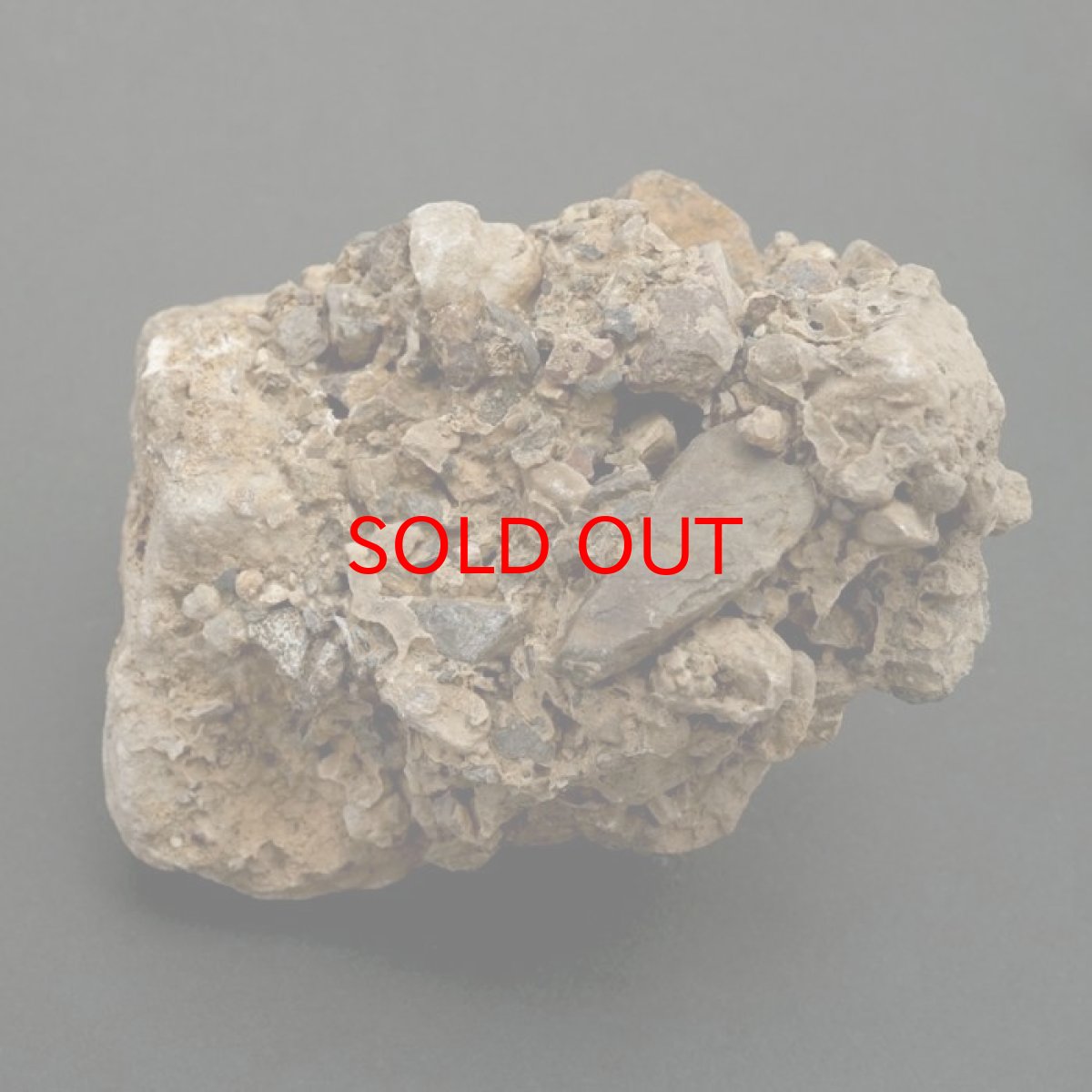 画像4: 【 一点物 】 国歌さざれ石 原石 岐阜県産 約320g national anthem of Japan stone 日本銘石 天然石 パワーストーン カラーストーン (4)