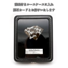 画像6: 【 一点物 】 イミラックパラサイト 隕石 12.49g チリ産 パラサイト Imilac Pallasite 鉄隕石 【 希少 】 原石 天然石 パワーストーン カラーストーン (6)