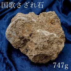 画像1: 【 一点物 】 国歌さざれ石 原石 岐阜県産 約747g national anthem of Japan stone 日本銘石 天然石 パワーストーン カラーストーン (1)