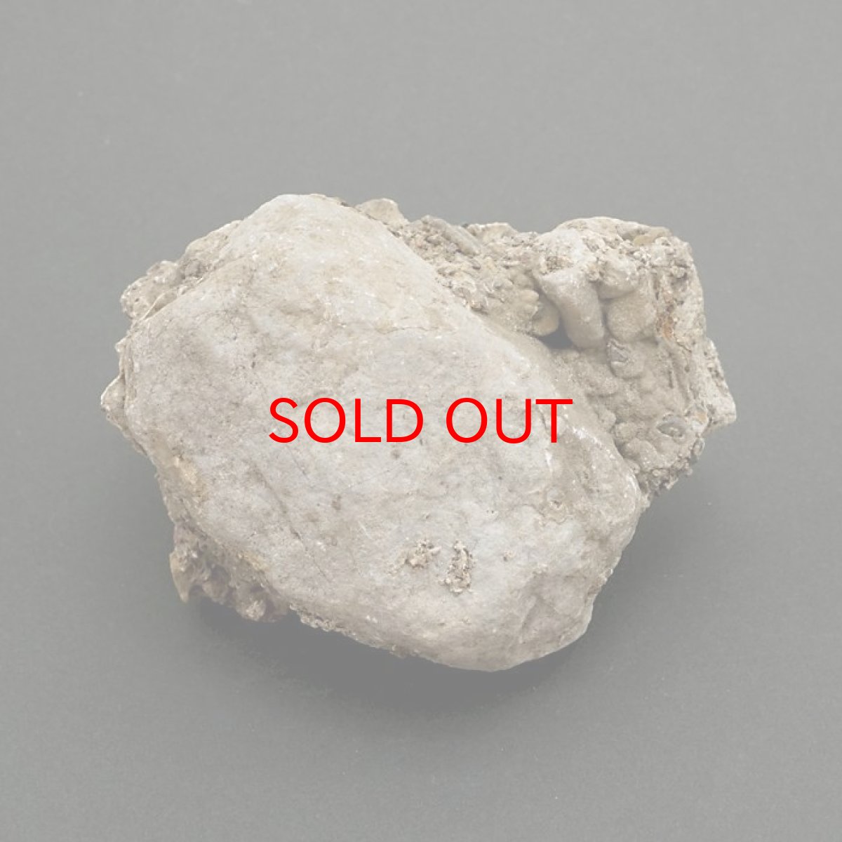 画像4: 【 一点物 】 国歌さざれ石 原石 岐阜県産 約400g national anthem of Japan stone 日本銘石 天然石 パワーストーン カラーストーン (4)